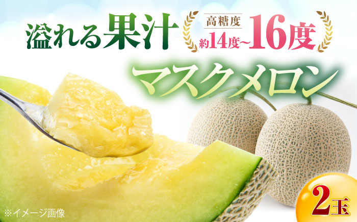 
                  【先行予約】 高知市 春野町産 マスクメロン 2玉 (約2.8kg～約3.4kg 箱重量込み) 〈2026年9月20日～2026年9月27日頃発送〉 【片山農園】 [ATCI002]
                