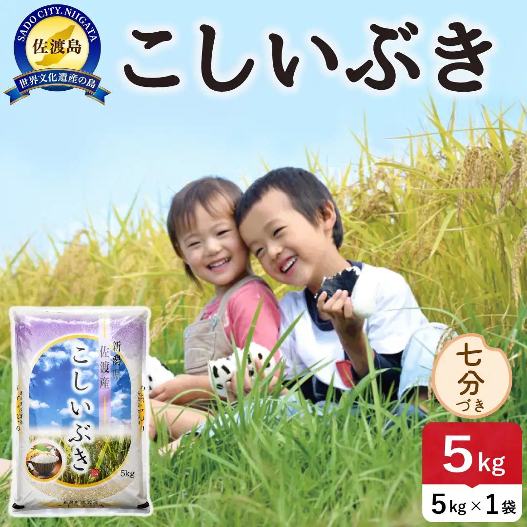 令和8年産 佐渡島産こしいぶき 七分づき5kg 195962-153302