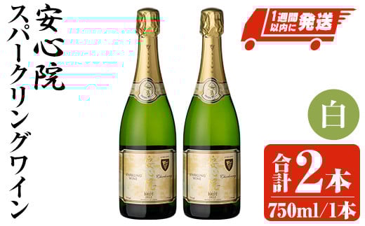 安心院スパークリングワイン 白(計1.5L・750ml×2本)酒 お酒 ワイン 白ワイン スパークリングワイン ぶどう 葡萄【107302602】【時枝酒店】