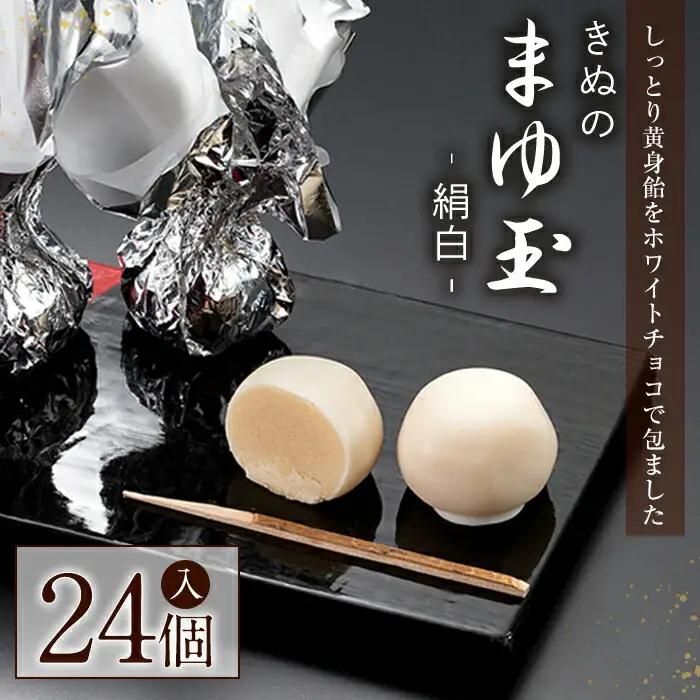 チョコレート きぬのまゆ玉 24個（絹白） 和菓子 手土産 お土産 お中元 お歳暮 【チョコレート】【ho1543】