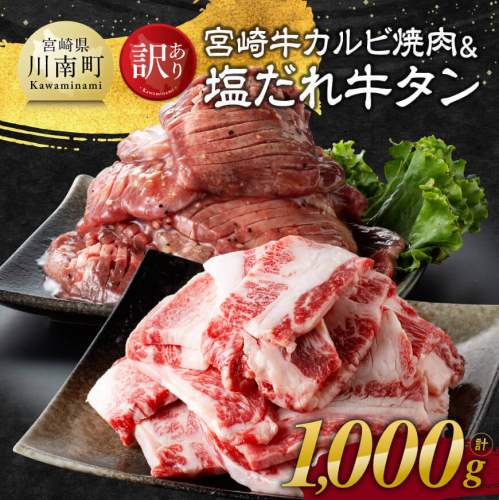 【訳あり】 宮崎牛カルビ焼肉＆塩だれ牛タン　計1,000g 【 肉 宮崎牛 カルビ 牛肉 牛たん たん 厚切り 塩ダレ 塩だれ タン 味付き BBQ 焼肉 焼き肉 焼くだけ おかず 簡単調理 】