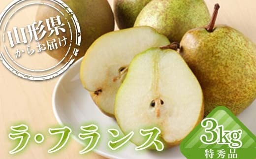 
            山形県産 厳選ラ・フランス 特秀品 3kg 化粧箱（8～10玉入り）《先行予約2026年11月発送開始》 なし ナシ 梨 デザート フルーツ 果物 くだもの 果実 食品 山形県 FSY-2713
          