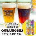 【ふるさと納税】クラフトビール 飲み比べ 4本セット (ゴールデンエール2本・アンバーエール1本・ヌーベルセゾン1本) NEWオラホビール 詰め合わせ お酒 地ビール ギフト プレゼント お歳暮 お中元 父の日 長野県東御市