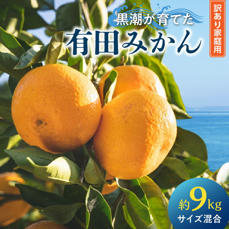 【ふるさと納税】【限定】 有田みかん 約9kg 混合 サイズ 訳あり ご家庭用 早生 中生 晩生 甘み 濃い 旨み 味わい こだわり 有田 みかん 柑橘 果物 果実 フルーツ 産地直送 お取り寄せ グルメ お取り寄せグルメ 和歌山県 湯浅町 送料無料