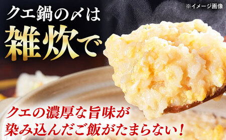 【全12回定期便】対馬産 クエ ぶつ切り 900g 鍋用スープ付《対馬市》【島本水産】高級魚 新鮮 肉厚 本格的 海鮮 鍋セット フライ 煮付け アラ[WBI017]