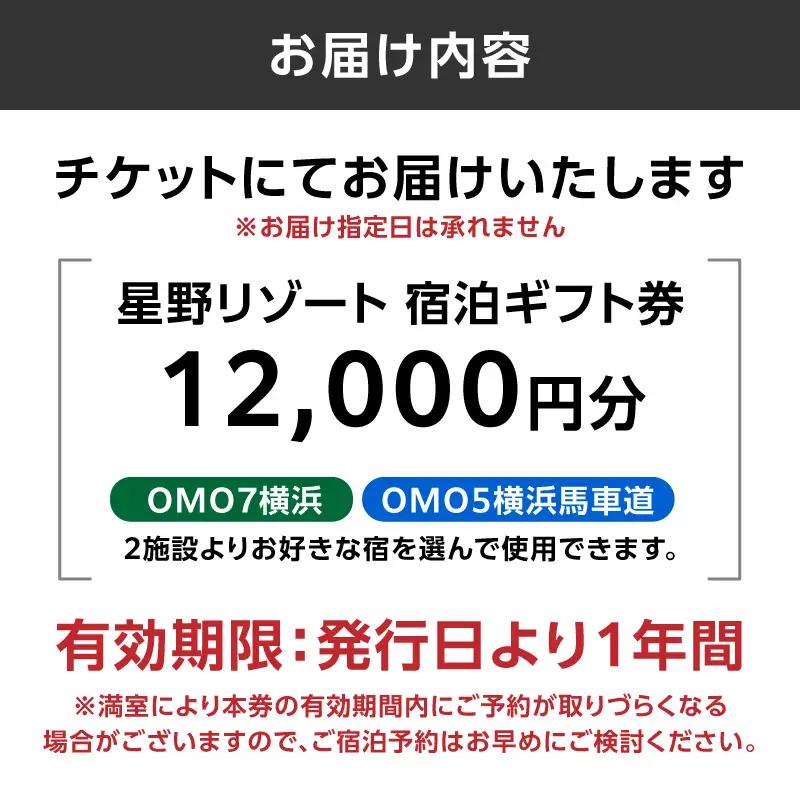 星野リゾート 横浜市ふるさと納税宿泊ギフト券（12000円分） AQL0001