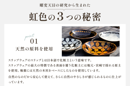 ＜スリップウェアのリム皿 2枚 花柄、色おまかせ＞ 国産 日本製 陶芸品 工芸品 陶器 食器 お皿 うつわ 汁物 取り皿 スープ 電子レンジ可能 日用品 ギフト 贈り物 プレゼント 父の日 母の日 お