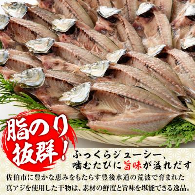 ふるさと納税 佐伯市 あじの開き(21枚) |  | 02