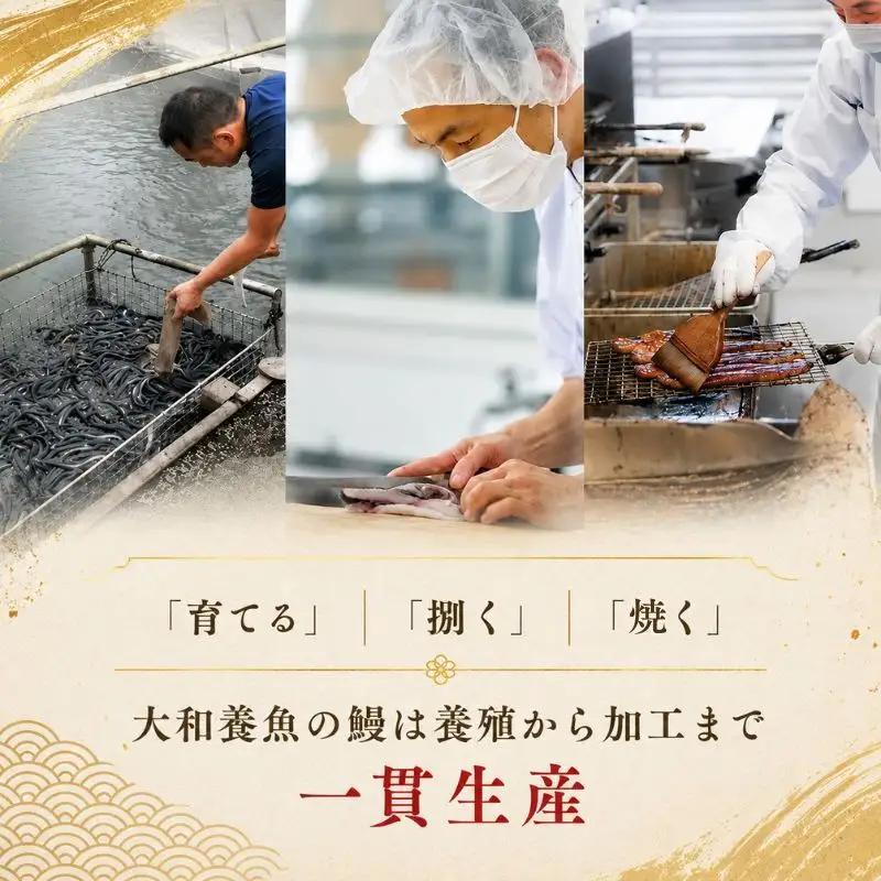 うなぎ 計370g サイズ不揃い7 9袋 加工品 うなぎ