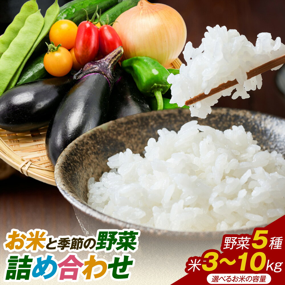 【ふるさと納税】 米 野菜 詰め合わせ 季節の野菜 きぬむすめ ひのひかり おまかせ 選べる内容量 米3kg+野菜5種 米5kg+野菜5種 米10kg+野菜5種 ありがとう園《30日以内に出荷予定(土日祝除く)》岡山県 矢掛町 お米 白米 旬の野菜