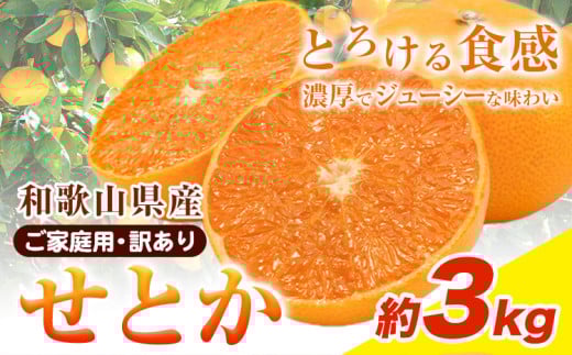 【先行予約】【家庭用 訳あり】とろける食感!ジューシー柑橘 せとか 約 3kg 魚鶴商店 先行予約《2026年2月上旬-3月中旬頃出荷》 和歌山県 日高町 みかん 柑橘 果物 フルーツ 送料無料