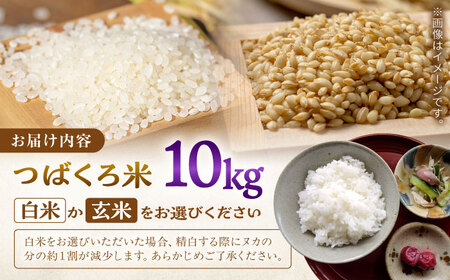 ＼ 新米 先行予約 ／ 選べる白米or玄米 つばくろ米 10kg 米 白米 玄米 国産 岐阜 白川町 / つばくろ農園[AWCB002]