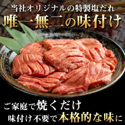 低温管理!肉厚牛たん500g(K6-022)【配送不可地域：離島】