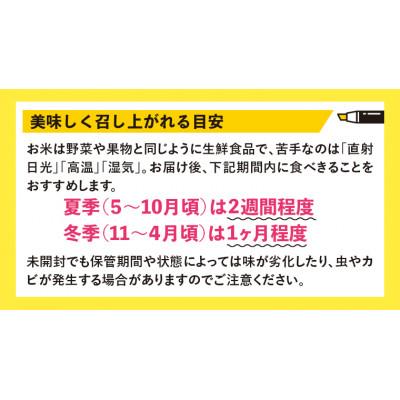 ふるさと納税 富津市 令和7年産 千葉県産「ふさおとめ」5kg(精米)　竹ノ内米店　G-63r7b |  | 02