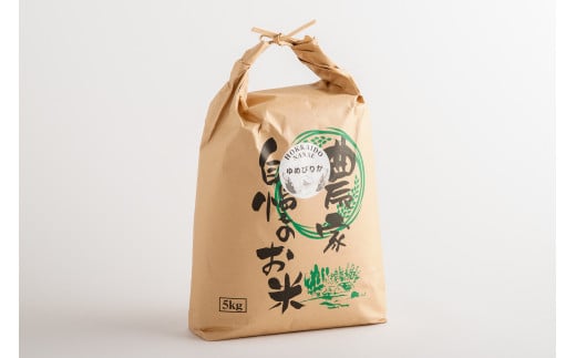 【先行予約】 令和7年産 ゆめぴりか10kg (5kg×2) 【ふるさと納税 人気 おすすめ ランキング ゆめぴりか 米 こめ 白米 精米 ごはん ご飯 北海道産 北海道 七飯町 送料無料】 NAZ0