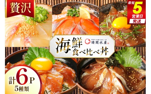 海鮮丼 漬丼 全5種 6食 セット [請関水産 宮崎県 日向市 452061674]  ブリ マダイ マグロ サーモン カツオ 海鮮丼の具 海鮮丼セット 食べ比べ 冷凍 漬け丼 簡単 個包装 時短 お