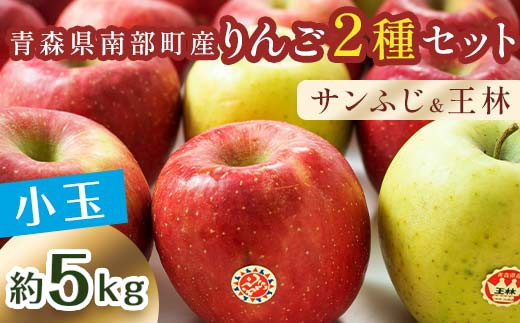 秀 （小玉） 青森産 完熟 りんご 約5kg サンふじ 王林 2種セット 【誠果園】 青森りんご リンゴ 林檎 アップル あおもり 青森 青森県 南部町 三戸 南部 澁川賞受賞 果物 くだもの フルーツ 3kg 以上 おすすめ F21U-224