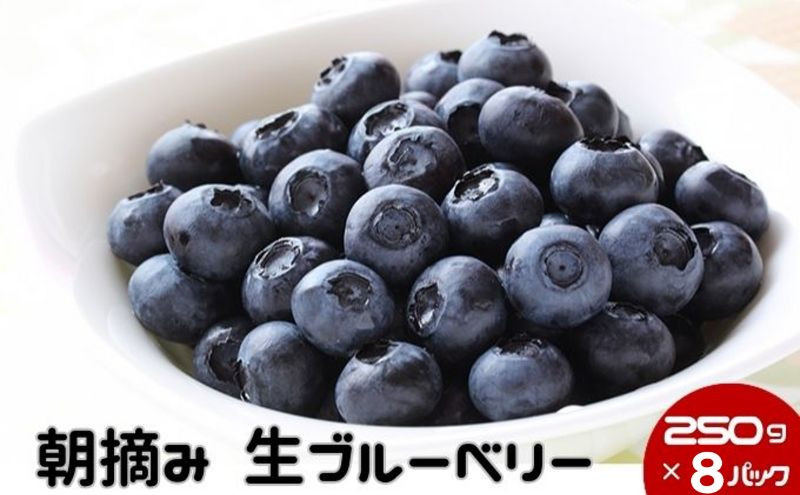 
                  数量限定 鹿沼 朝摘み 生ブルーベリー 250g × 8パック 2kg [№5840-1432]　※沖縄・離島への配送不可　※2026年6月中旬～2026年7月中旬頃に順次発送予定
                