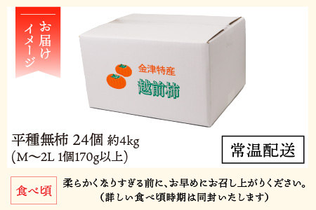 【先行予約】 越前柿 24個入 約4kg（M～2L）≪JA受賞歴親子２代≫ ／ 果物 フルーツ 柿 産地直送 期間限定 あわら ※2024年11月上旬より順次発送