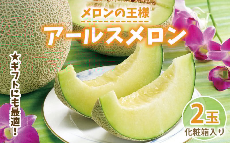 
            【先行予約】これぞメロンの王様！ 「アールスメロン」 2玉 化粧箱入り 【2026年9月中旬以降順次発送予定】【メロン めろん フルーツ デザート 果物 くだもの 果実 青肉 糖度 甘い ジューシー お取り寄せ グルメ 産地直送】
 [A-1002]
          