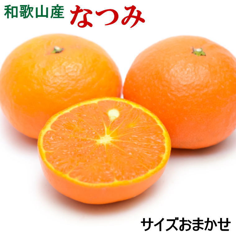 【ふるさと納税】 【希少柑橘】 和歌山県 産 なつみ 約 5kg （S～2Lサイズおまかせ） / みかん 蜜柑 柑橘 晩柑 ※4月上旬～4月下旬頃に順次発送予定 //hassaku