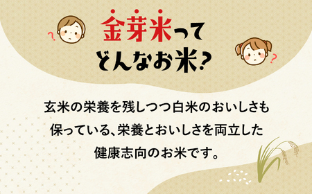 【定期便12回】令和7年宮城県産金芽米 ひとめぼれ 10㎏×12回