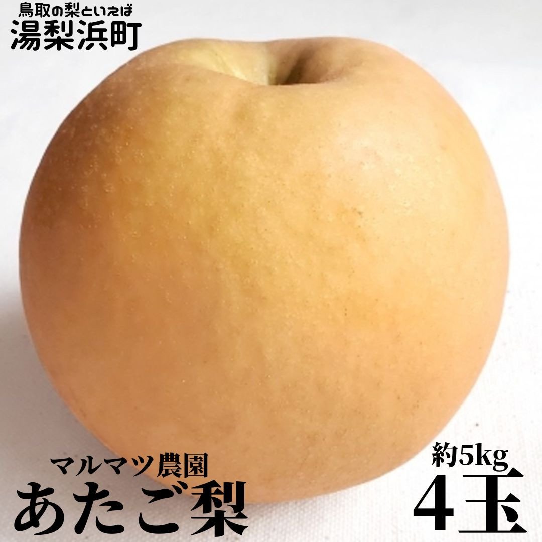 
            310K.■マルマツ農園■あたご梨4玉
          