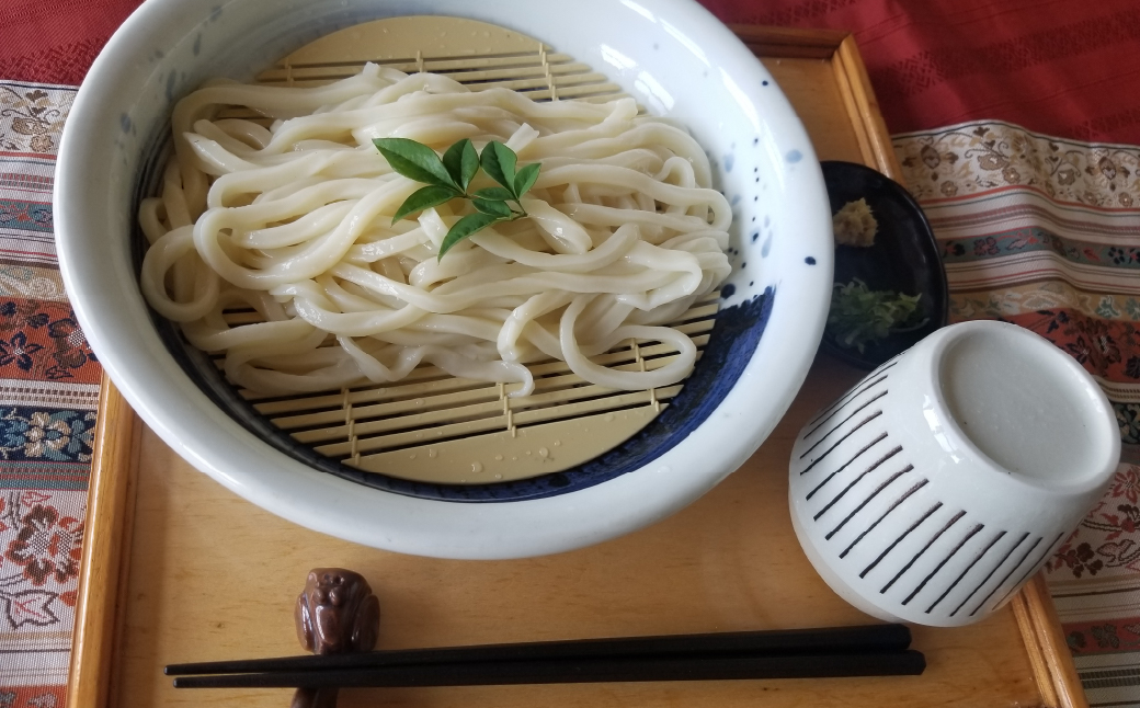 【思いやり型返礼品】八城うどん ギフトセットM 生うどん スープ付 10袋