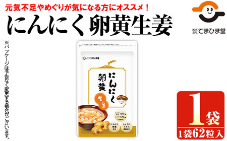 No.1293 てまひま にんにく卵黄生姜(1袋 62粒入り)  鹿児島 日置市 ニンニク 健康食品 栄養 元気 カプセル 安全安心 生姜 サプリ サプリメント 定期便 頒布会 【てまひま堂】