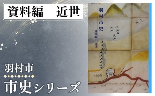 資料編　近世　1.140kg ／ 市史 郷土史 地方史 歴史資料 研究資料 図録 中世史 近世史 近現代史 民俗資料 考古資料 自然史 読み比べ 資料集 学習用 東京都 No.155-03