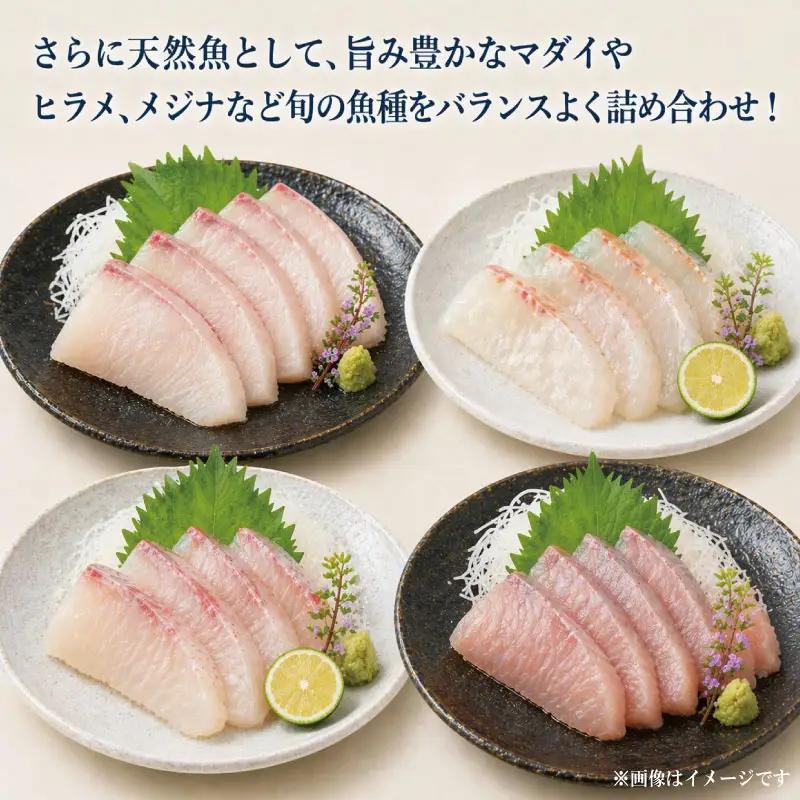 刺身 セット 4種 刺身 