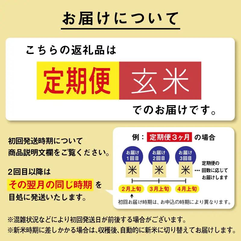 【3ヶ月定期便】玄米 令和7年産 あきたこまち 10kg 玄米