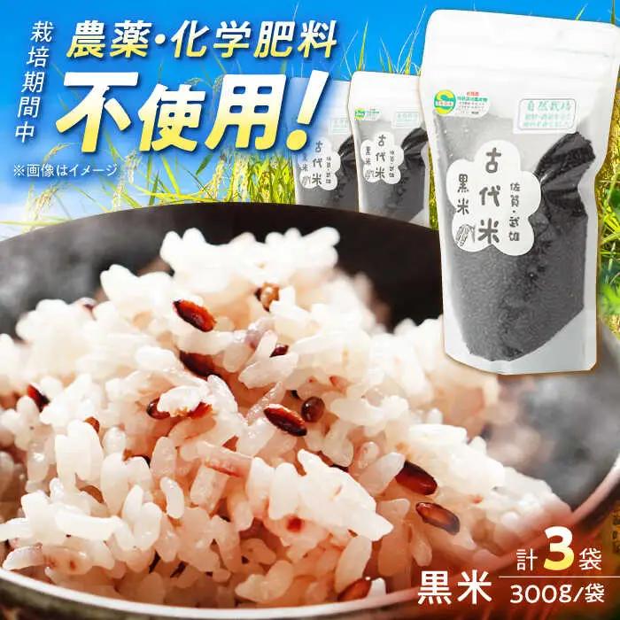 雑穀 古代米 黒米 900g /永尾 忠則 [UAS001] 雑穀米