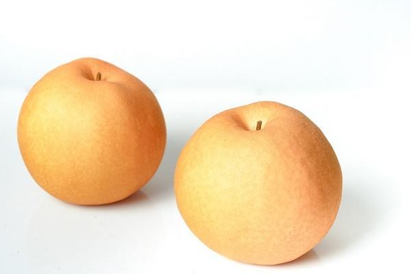 【 数量限定 】 伊万里梨 新高 2.5kg 113-B1076