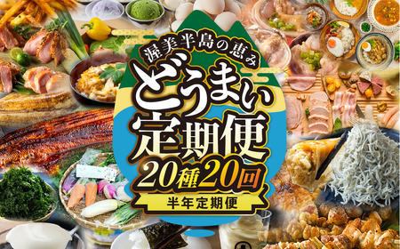 【定期便】渥美半島の恵み 20種 20回 6ヶ月定期便