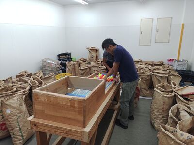 ロストボール　6個×2　【Z-STAR・Z-STAR XV カラー シリーズ】(色指定不可)他メーカーあり【ご好評につき商品によっては発送に１～２ヶ月ほどお時間をいただいております】　ゴルフ ゴルフボ