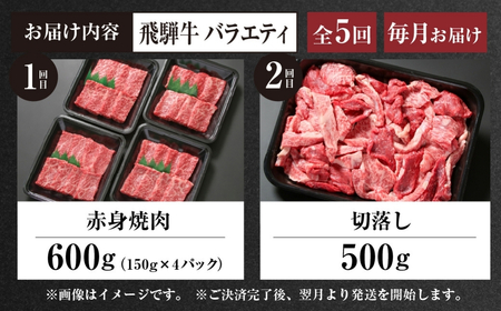 《定期便》全5回 飛騨牛 バラエティ（ステーキ /焼肉 / すき焼き/切り落とし）[ 飛騨高山ミート ] | 冷凍真空パック 肉 お肉 すきやき 黒毛和牛 和牛 人気 おすすめ 牛肉 [MZ104]