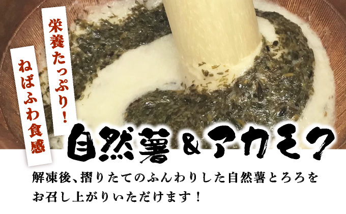 ≪定期便・全12回≫【磯の風味が香る】ふわふわとろろ! 那珂川産 博多 自然薯 アカモク とろろ 60g×6個