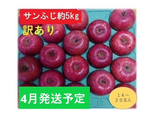 4月発送CA貯蔵 【訳あり】 家庭用 百年木の香 サンふじ 約5kg 有機肥料100％【弘前市産・青森りんご】