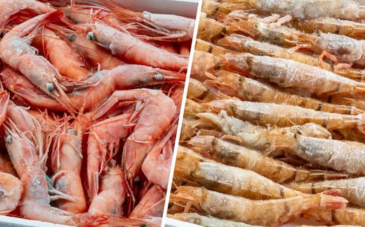 【紅白エビセット 甘エビ500g 白エビ500g】 日本海で水揚げされた鮮度抜群の甘えびを船内で急速冷凍しました。短時間で急速冷凍 細胞を壊さず、食品の美味しさをキープ 産地直送 香美町 香住 山陰 