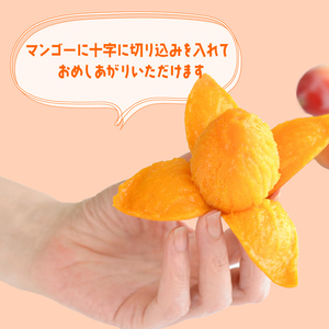 マンゴー 完熟 冷凍 ミニマンゴー 500g 国産 フルーツ 果物 デザート スイーツ マンゴー 静岡県 藤枝市 