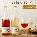 【ふるさと納税】益城ワイン 2本セット 750ml×2本 赤ワイン 白ワイン 2種類 飲み比べ ワイン ピノ・ノワール シャルドネ お酒 アルコール 益城町 熊本県 送料無料