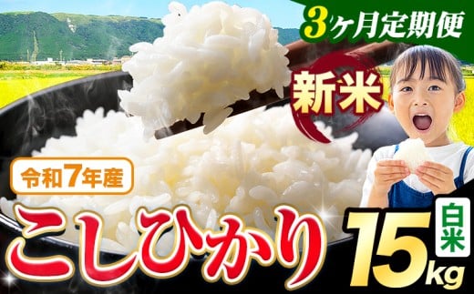 【3ヶ月定期便】令和7年産 新米 白米 こしひかり 15kg《お申込み翌月出荷》熊本県産 ふるさと納税 白米 精米 ひの 米 こめ ふるさとのうぜい コシヒカリ コメ お米 おこめ