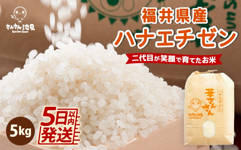 
                  【令和7年産】ハナエチゼン 5kg 華越前 ～坂井市三国町産・こだわりの精米対応～ [A-0268]
                