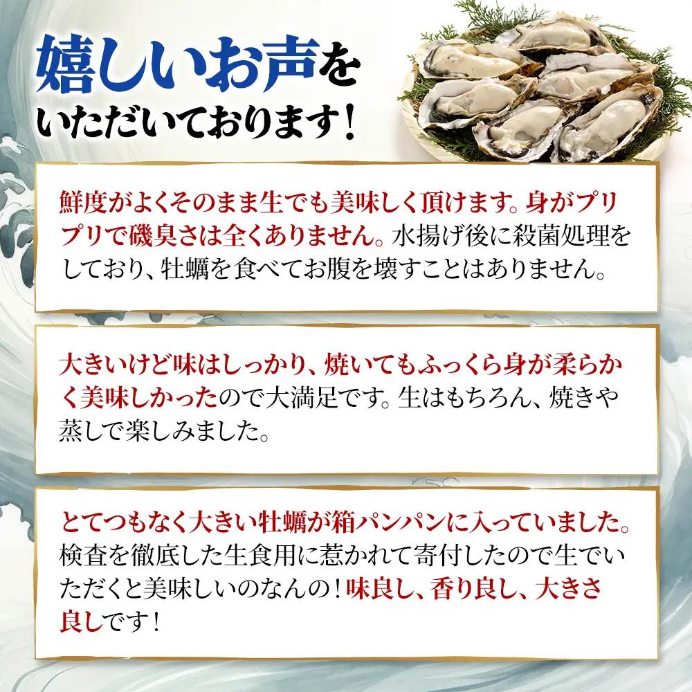 牡蠣 厚岸のブランド牡蠣 マルえもん 3Lサイズ 6個 生食用 魚貝類 海鮮 海のミルク 国産 生食用殻付き牡蠣 まろやか クリーミー 食べやすい品種 海の香り 牡蠣の酒蒸し 焼き牡蠣 マルえもん