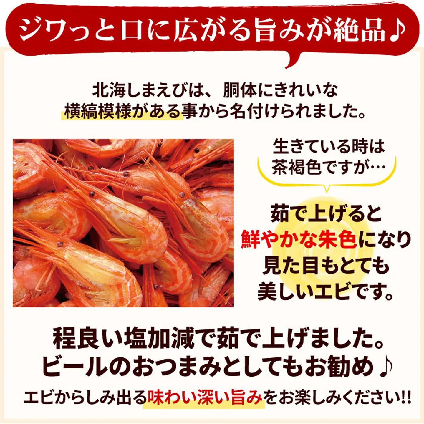 【北海道根室産】北海シマエビ800g(80～130尾) A-56014