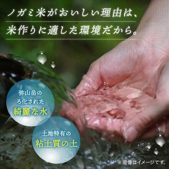 玄米 5kg ノガミファーム[ADAU009] 米 玄米5キロ