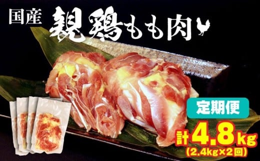 2ヶ月連続 定期便 計4.8kg 親鶏 もも肉 2.4kg×2回 200g×24パック 鶏肉 鶏 チキン タンパク もも 肉 とり にく お家ごはん 国産 親鳥 鳥肉 精肉 父の日 ブランド鶏 鍋 汁物 郷土食 親鶏 冷凍 小分け 親どり 親鳥 マルコ岩村 新潟県 新発田市 maruco1000