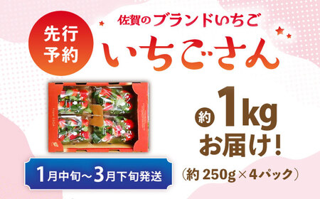 【先行予約 1月中旬以降順次発送】【佐賀のブランドいちご】いちごさん 約1kg（約250g×4p）/中村青果店[UDK010]