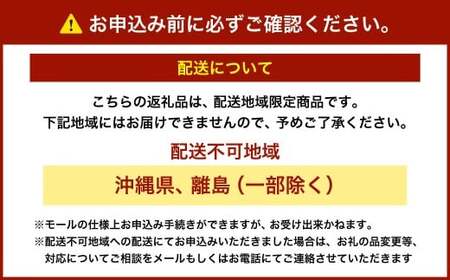 【2026年2月発送】ネギトロ まぐろたたき 合計1kg （100g×10P） まぐろ マグロ 鮪 たたき マグロのタタキ 魚 魚介類 冷凍